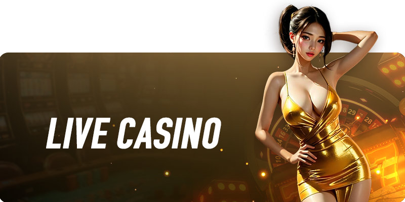 banner casino vinbet