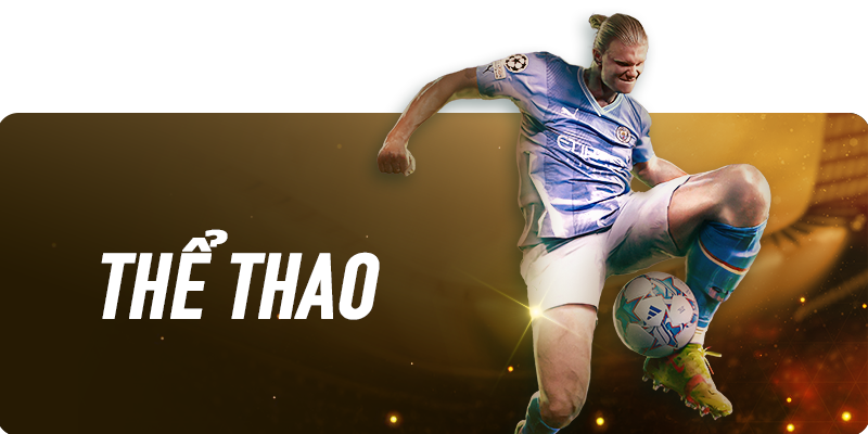 banner the thao vinbet 1